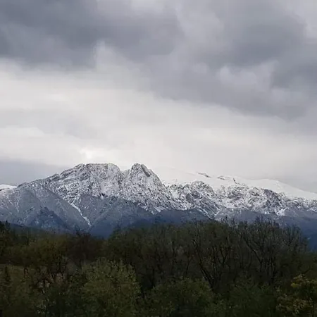 Magiczny Kacik Daire