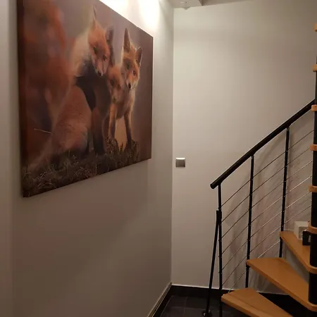 Magiczny Kącik Apartament